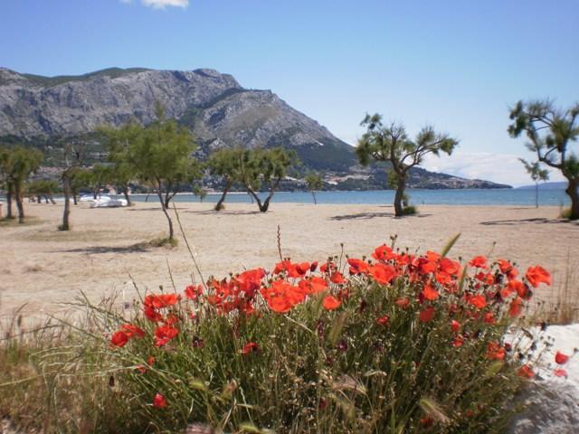 Apartment Danka Omiš Exteriör bild